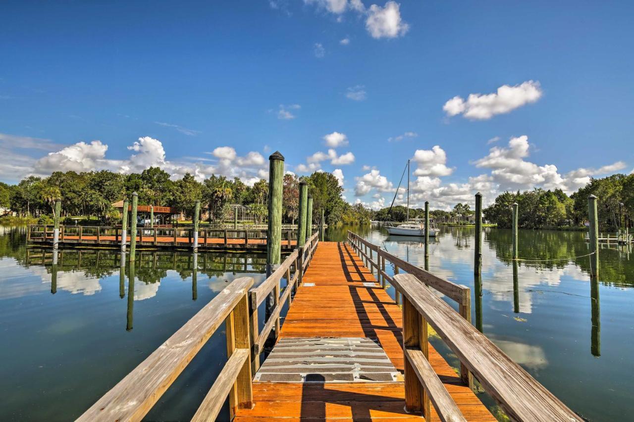 Crystal River House Scalloping And Dock, Gulf 7 Mi! Exterior foto